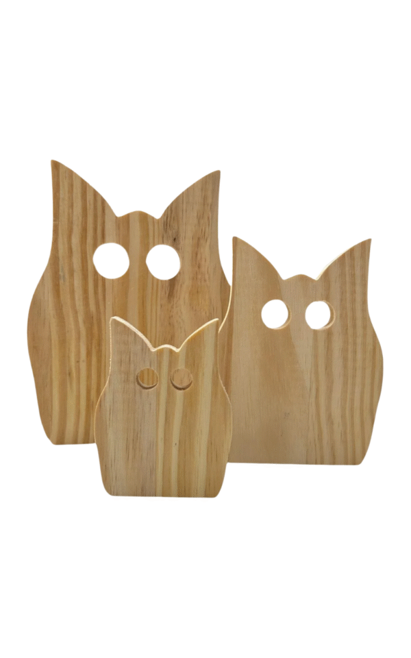 Conjunto de 3 Corujas de Pinus