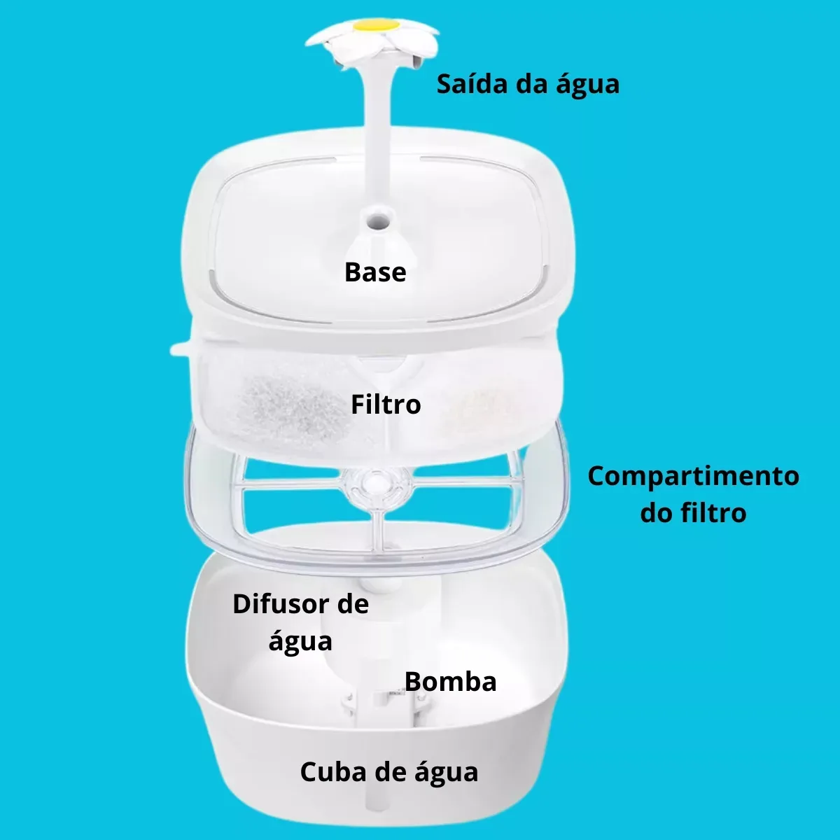 D_NQ_NP_2X_649922-MLA81366458097_122024-F