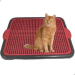 Bandeja Coletora De Areia Para Gato Tapete Coletor Gato 55cm