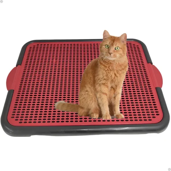 Bandeja Coletora De Areia Para Gato Tapete Coletor Gato 55cm