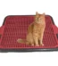 Bandeja Coletora De Areia Para Gato Tapete Coletor Gato 55cm