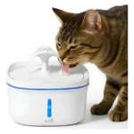 Bebedouro Fonte Smart Água Automática Pet Gatos - Kavju Branco